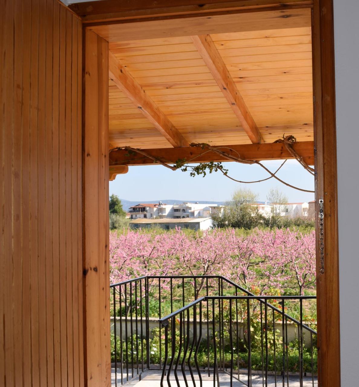 Studio Candia Exteriér fotografie